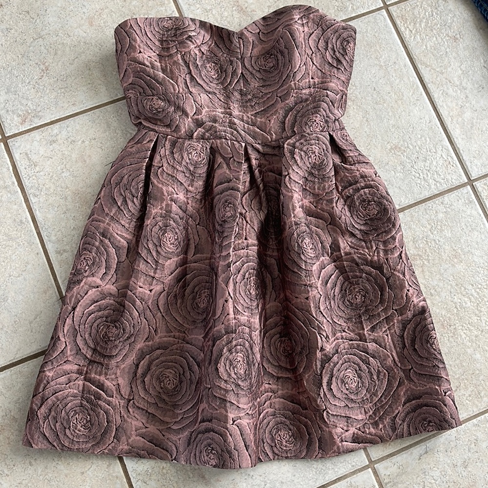 Anthropologie Hutch Candy Rose Dress